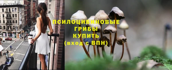 мдпв Богданович